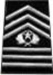E-09-2-Cadet-Command-Sergeant-Major.jpg