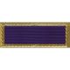 Presidential Unit Citation, United States Army