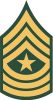 Sergeant Major (abbreviated as SGM) (paygrade E-9), United States Army