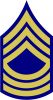 Master Sergeant, United States Army (Non-Combat Arms)