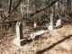 Butler Cemetery, Stringtown, Richland County, Illinois