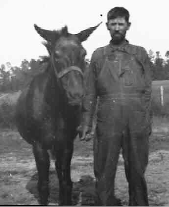 Charlie McDowell and his mule, 