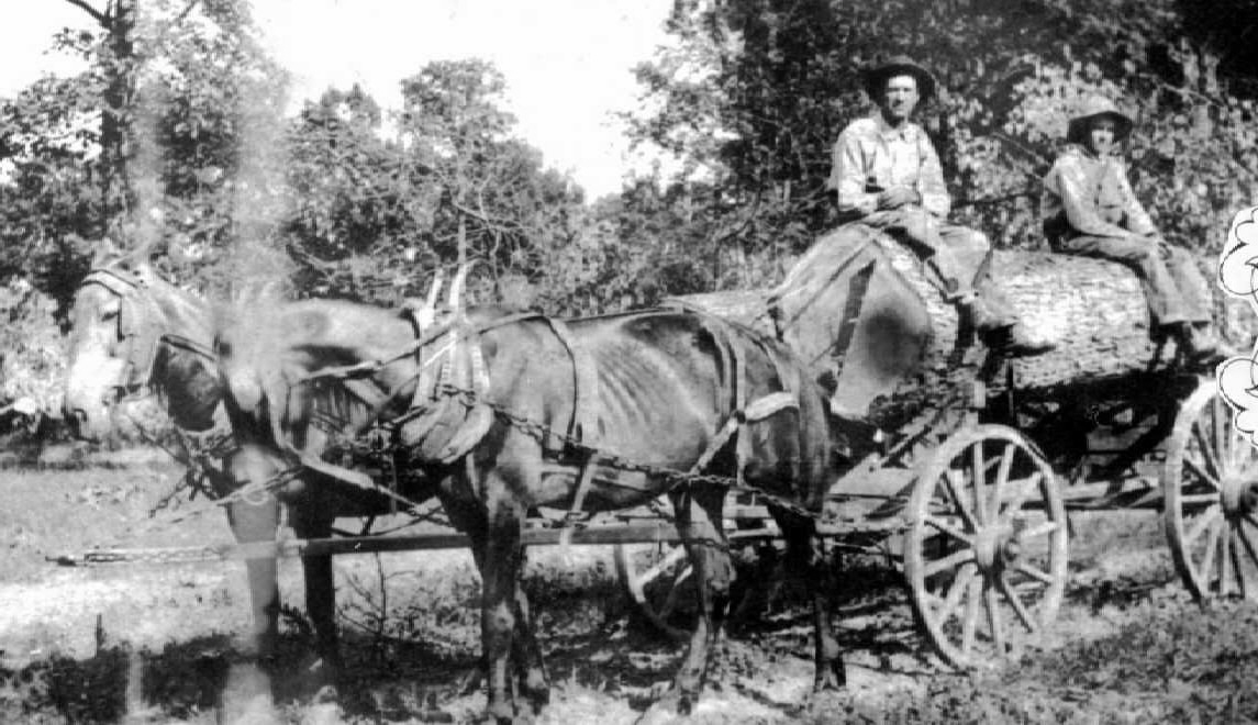 Charlie and Clifford McDowell on logging wagon