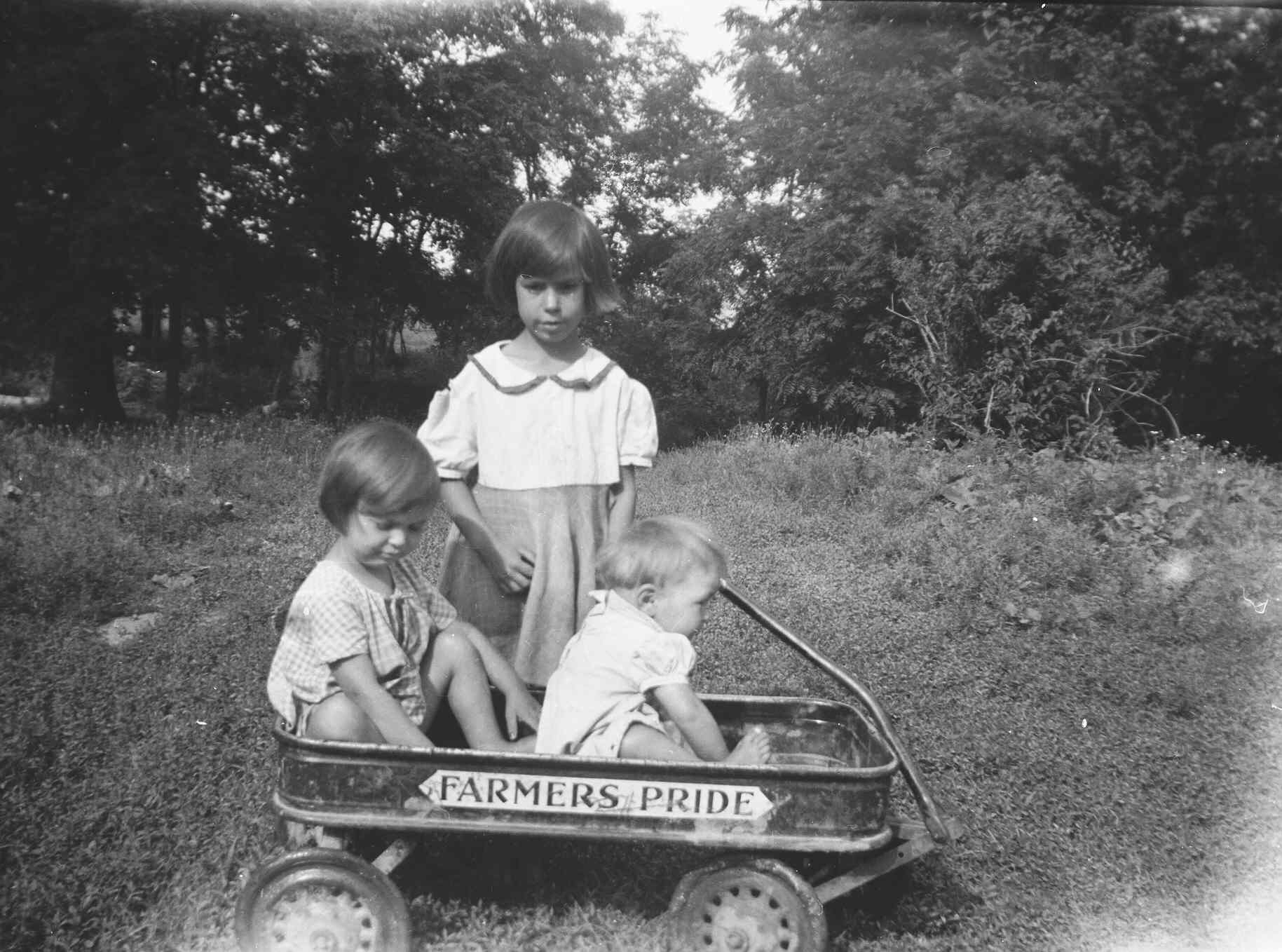 Nella, Barb, and Hazel McDowell