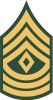 First Sergeant (abbreviated as 1SG) (paygrade E-8), United States Army First Sergeant (abbreviated as 1SG) (paygrade E-8), United States Army
