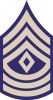 First Sergeant (1st Sgt), United States Army and United States Army Air Forces First Sergeant (1st Sgt), United States Army and United States Army Air Forces