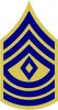 First Sergeant, United States Army (Combat Arms) First Sergeant, United States Army (Combat Arms)