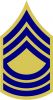 Master Sergeant, United States Army (Combat Arms)
